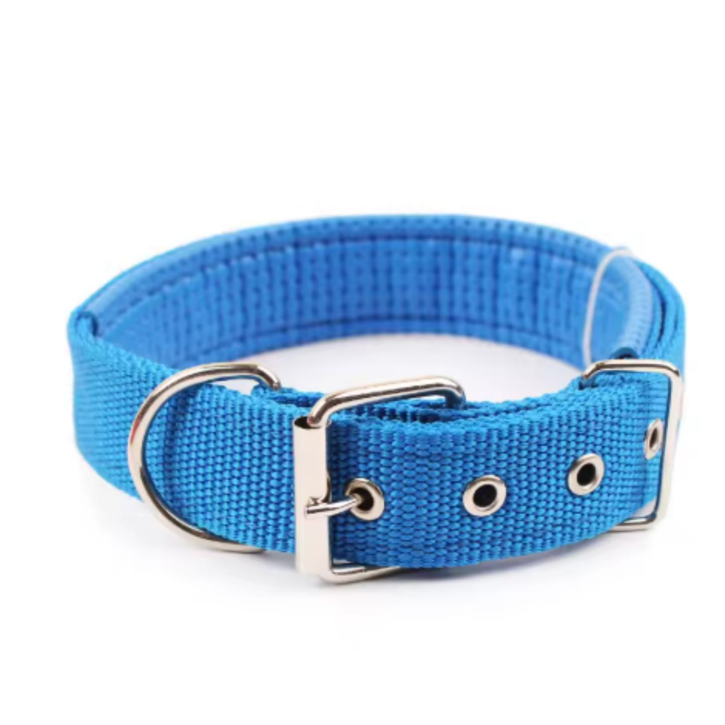 All-Season Nylon Dog Collar