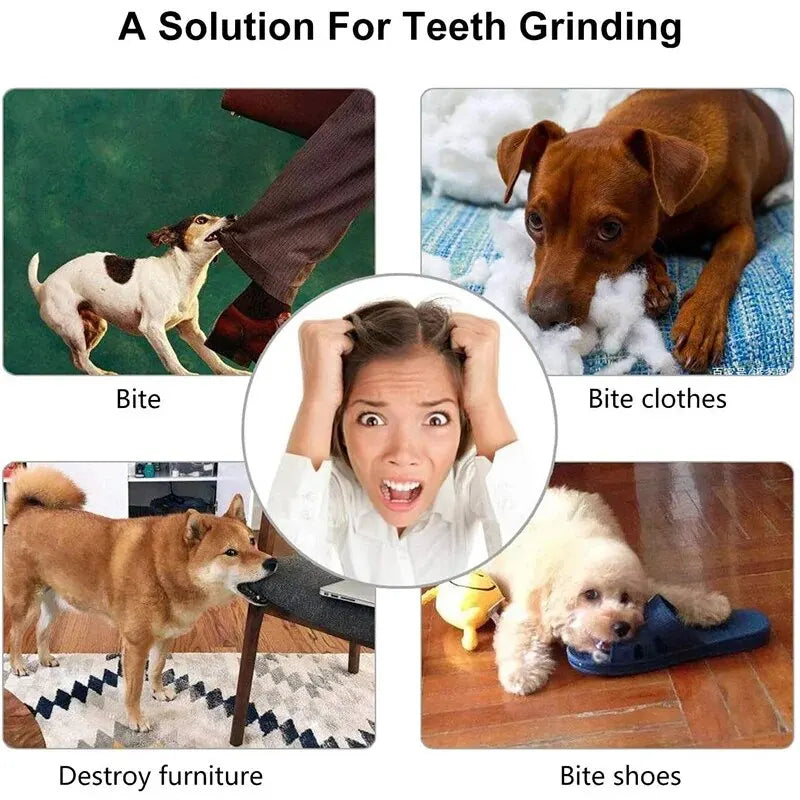 Treat-Dispensing Dog Chew Ball