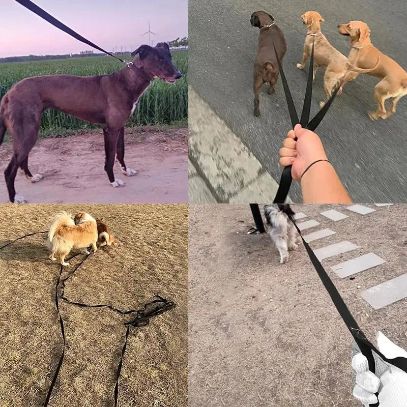 Long Nylon Training Dog Leash