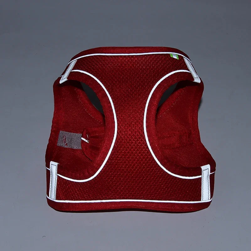 Adjustable Puppy and Cat Harness Set