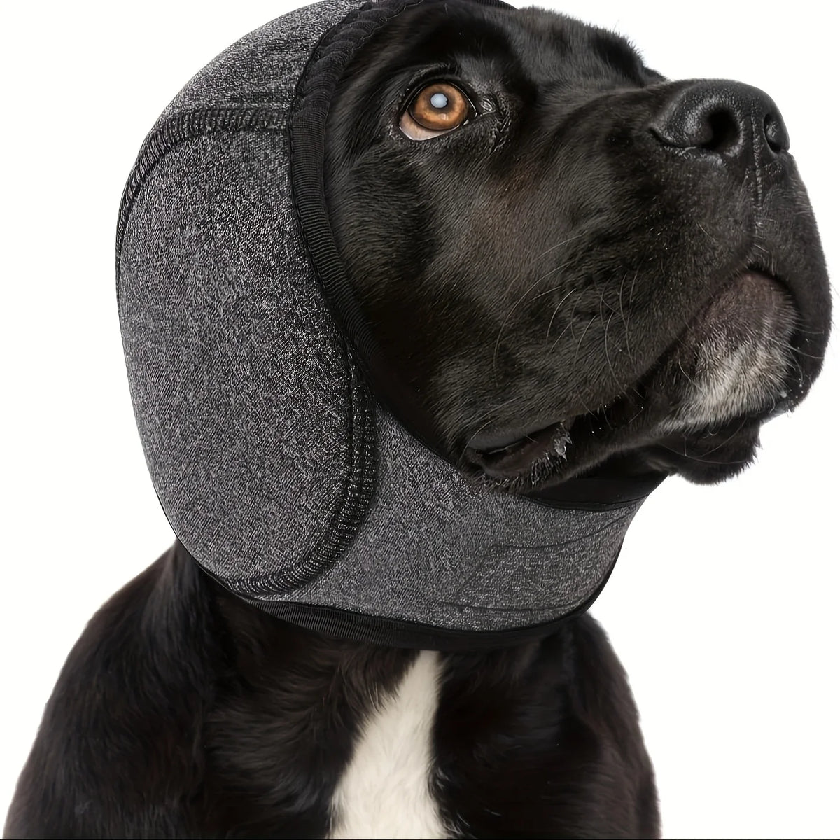 Adjustable Dog Noise-Muffling Earmuffs
