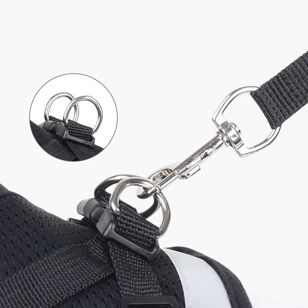 Reflective Mesh Cat and Dog Harness Set