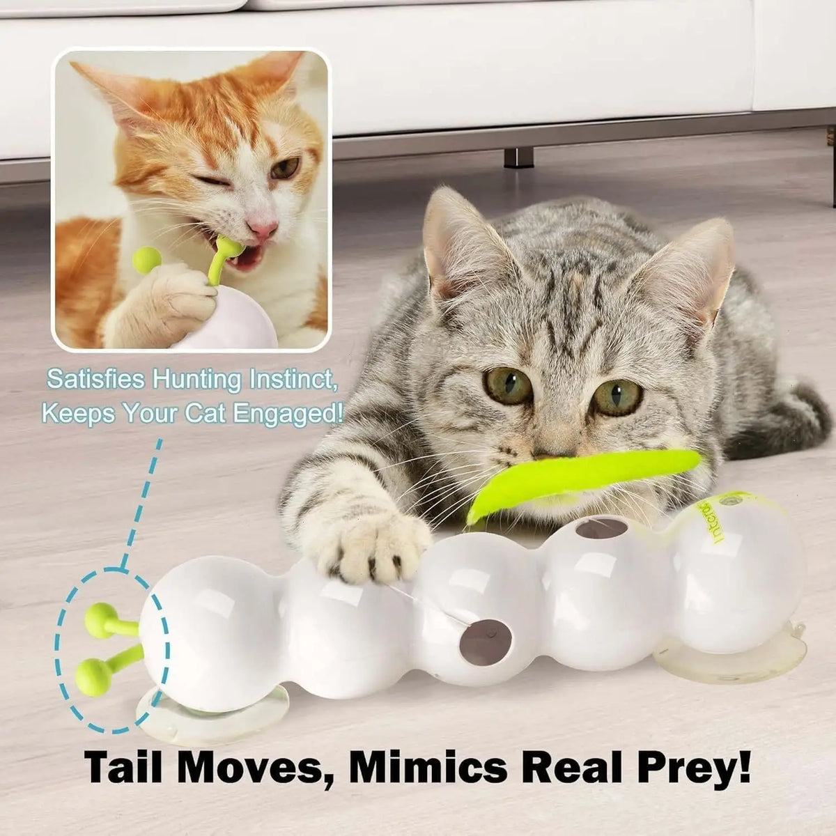 Whack-A-Worm Motion Cat Toy