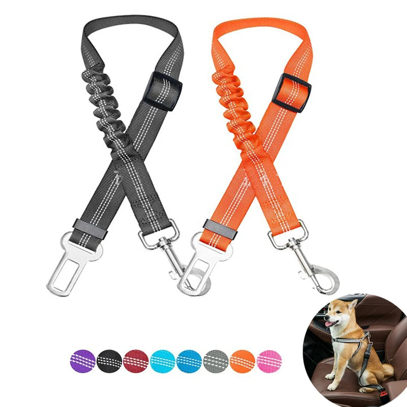 Dog Car Seat Belt