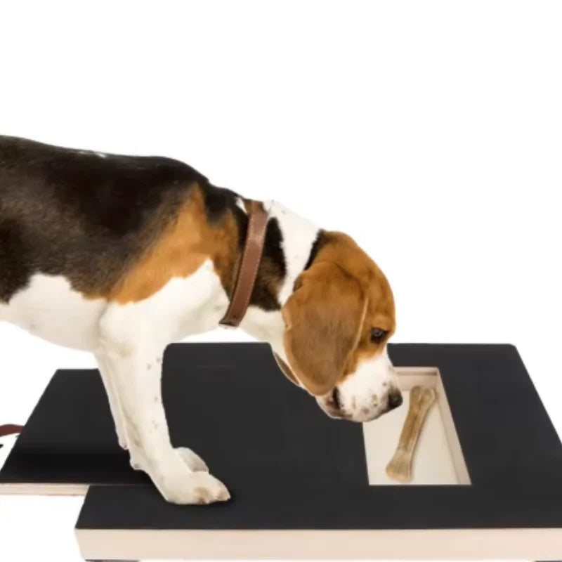 Wooden Dog Scratch Board with Treat Box
