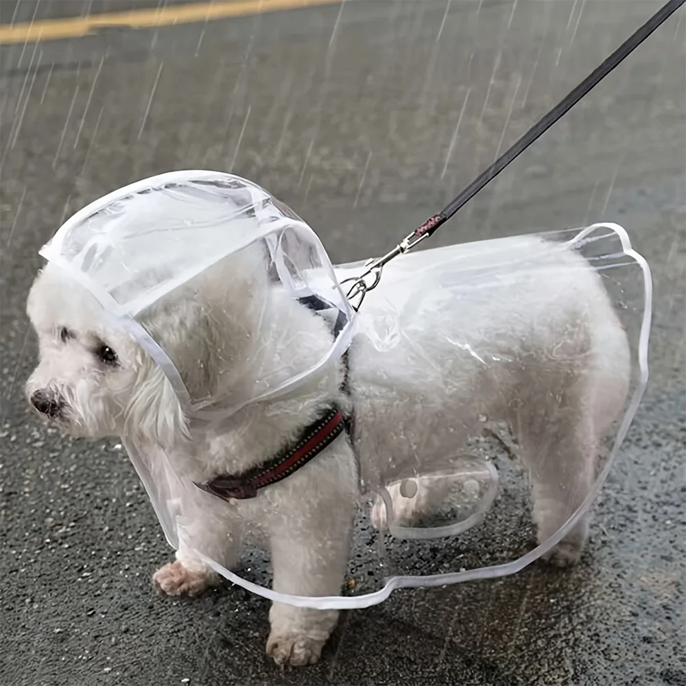 Transparent Dog Raincoat