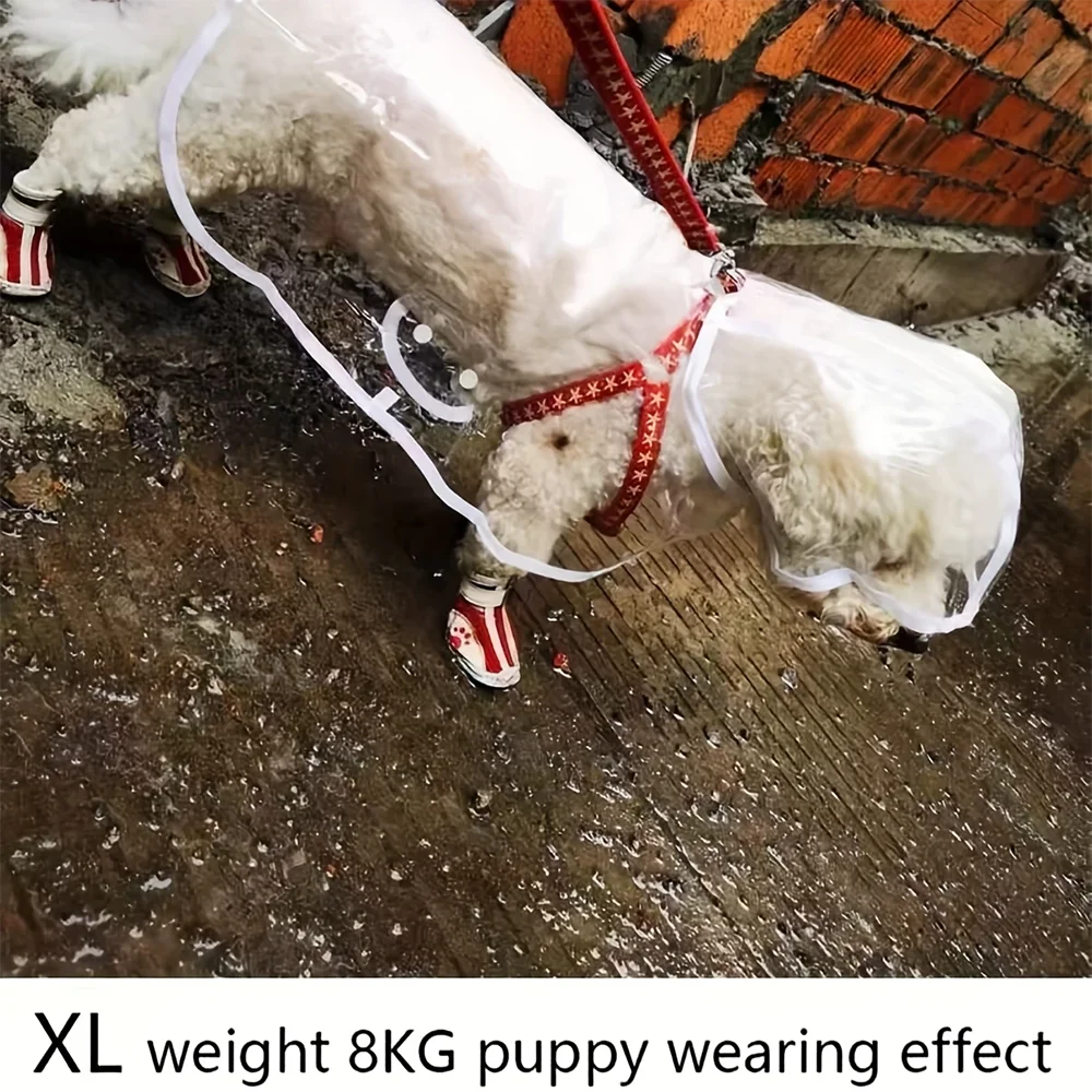 Transparent Dog Raincoat