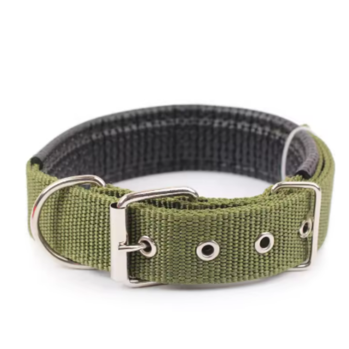 All-Season Nylon Dog Collar