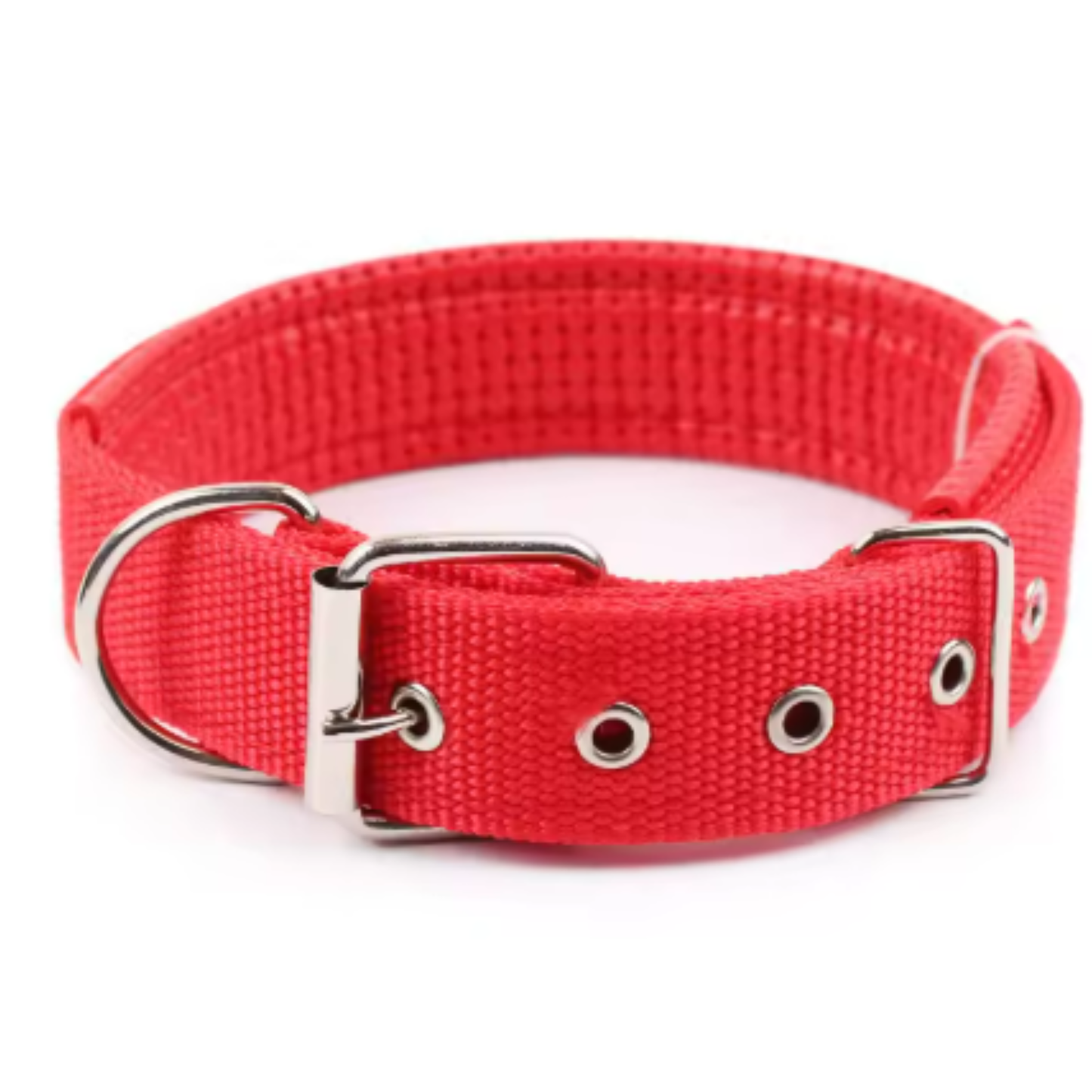 All-Season Nylon Dog Collar