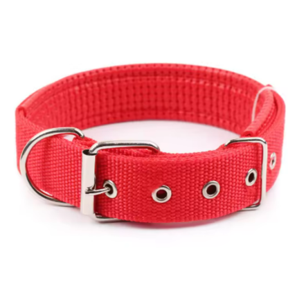 All-Season Nylon Dog Collar