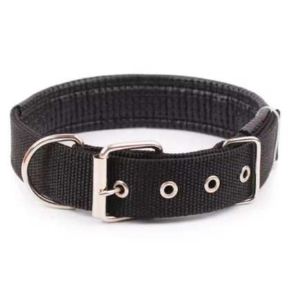 All-Season Nylon Dog Collar