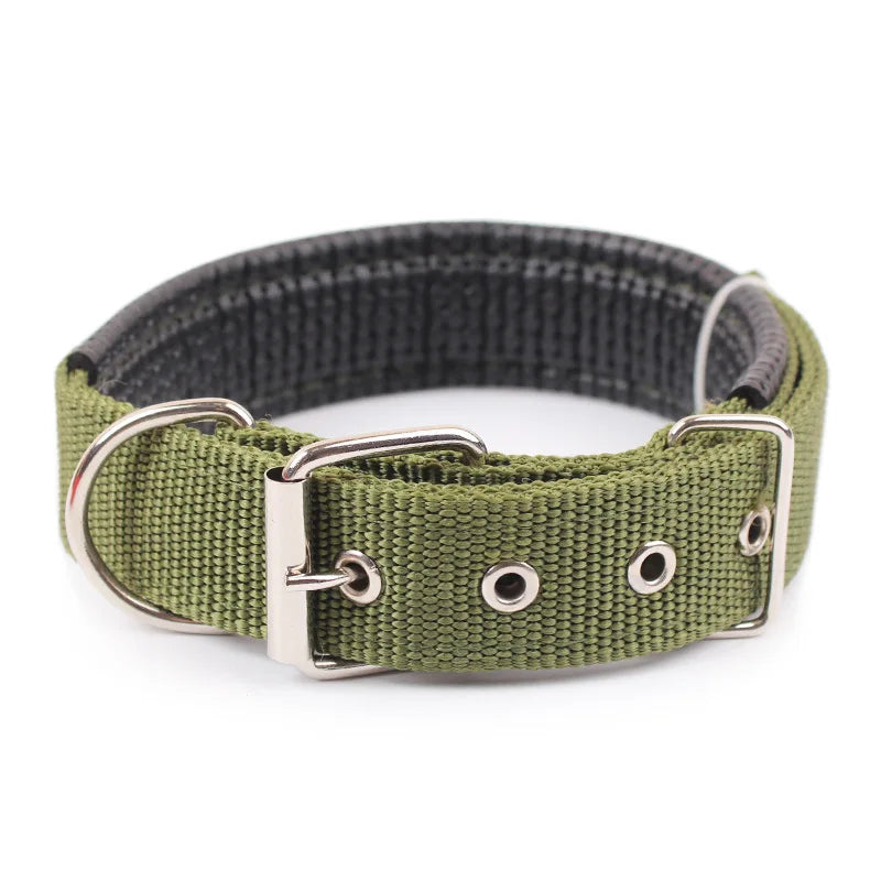 Classic Nylon Dog Collar