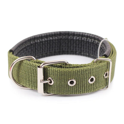 Classic Nylon Dog Collar