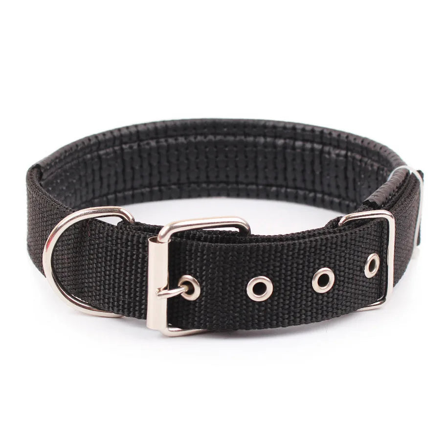 Classic Nylon Dog Collar