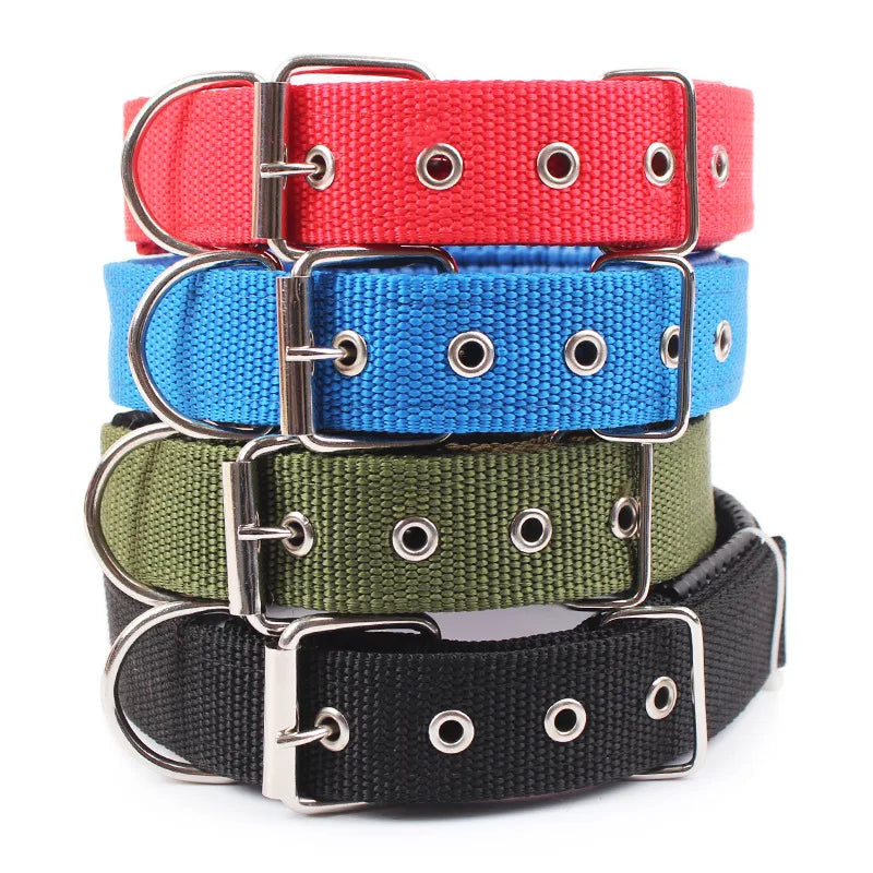 Classic Nylon Dog Collar