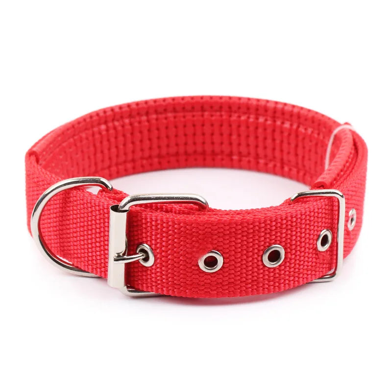 Classic Nylon Dog Collar