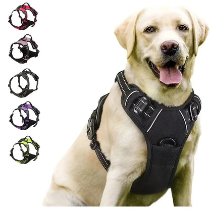 Premium Leather Walking Set