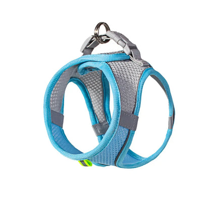 Adjustable Puppy and Cat Harness Set