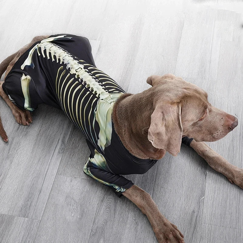 Dog Halloween Skeleton Costume