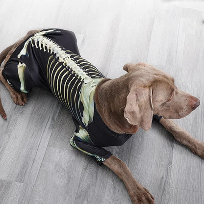 Dog Halloween Skeleton Costume