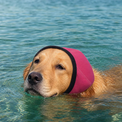 Dog Head and Ear Cover Snood