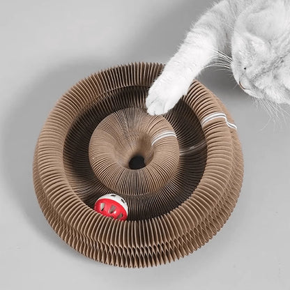Foldable Cardboard Cat Scratcher