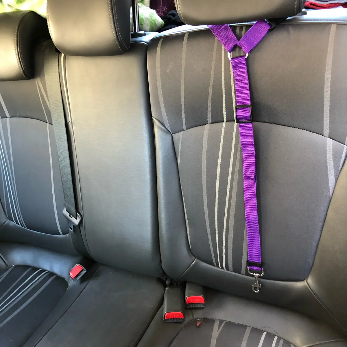 2-in-1 Dog Car Safety Belt and Leash