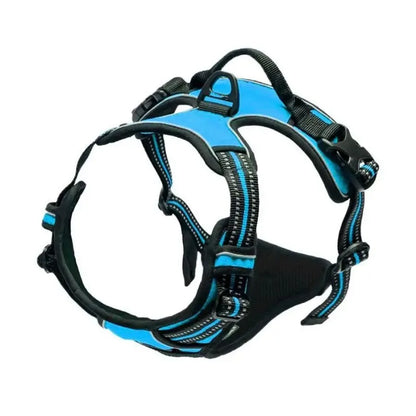 Premium Leather Walking Set