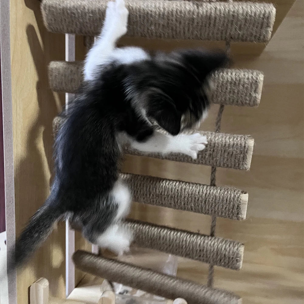Sisal Cat Climbing Ladder Bridge