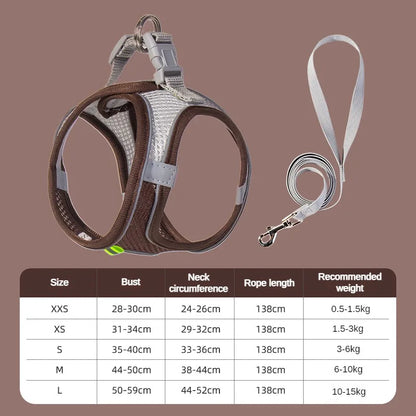Adjustable Puppy and Cat Harness Set