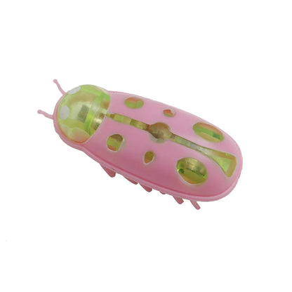 Mini Electric Bug Cat Toy