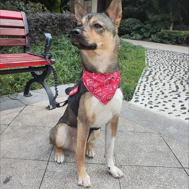 Adjustable Pet Bandana Scarf