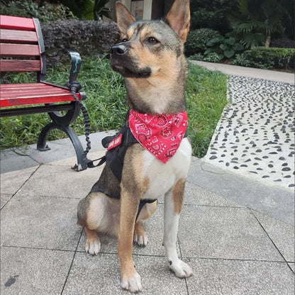 Adjustable Pet Bandana Scarf