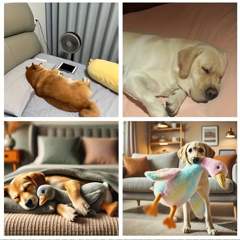 Duck Plush Companion Toy