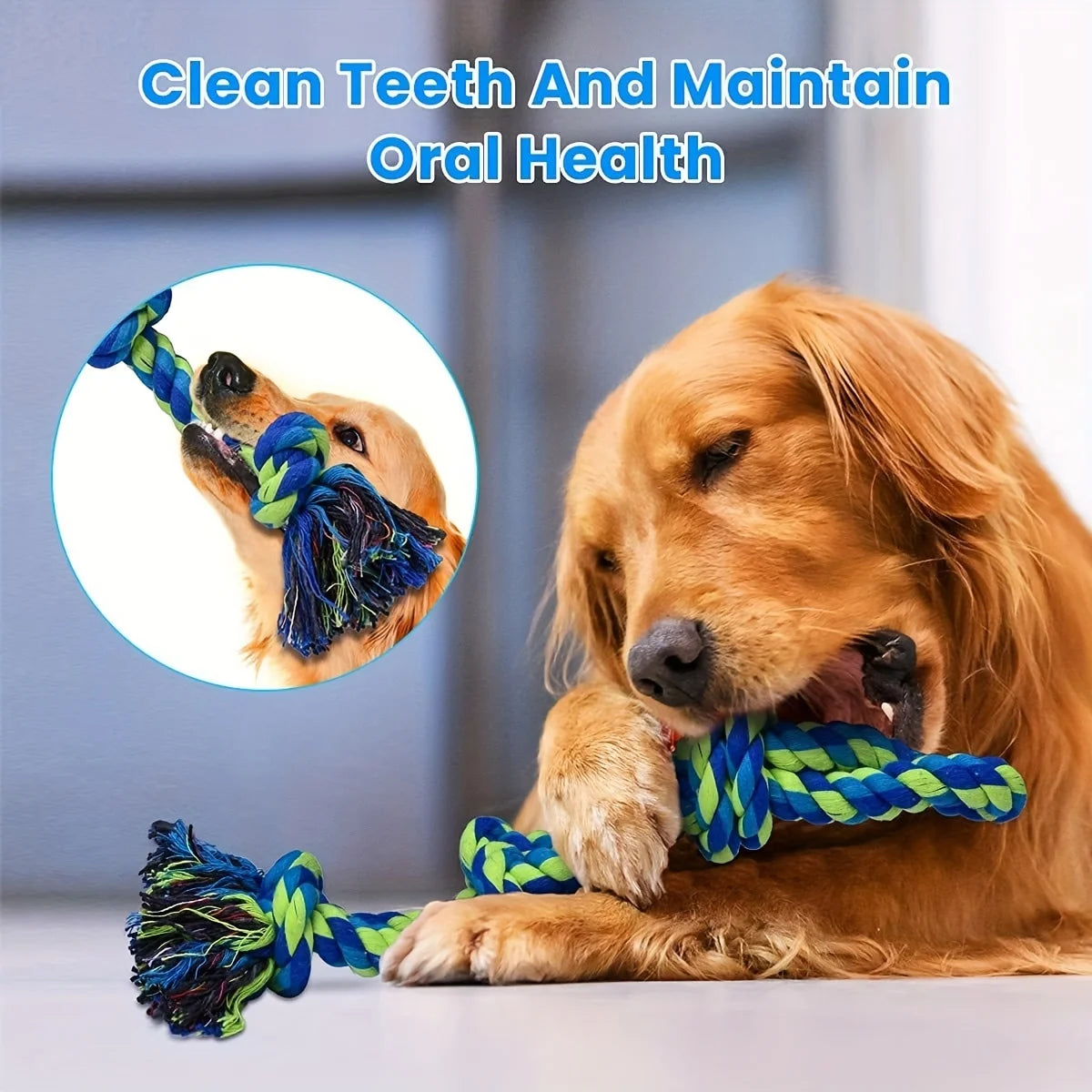 Durable Knot Dog Chew and Tug Toy