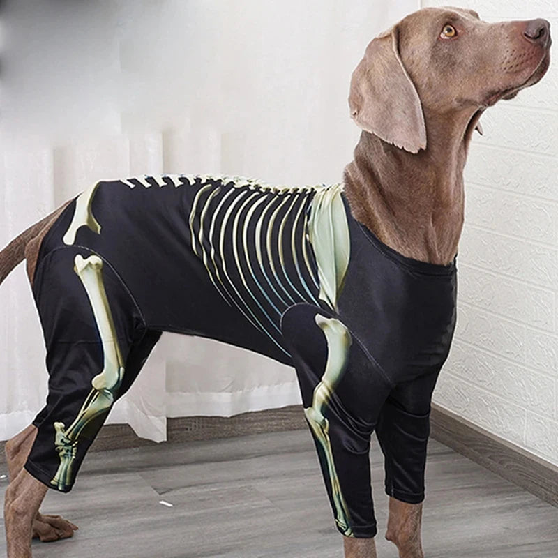 Dog Halloween Skeleton Costume