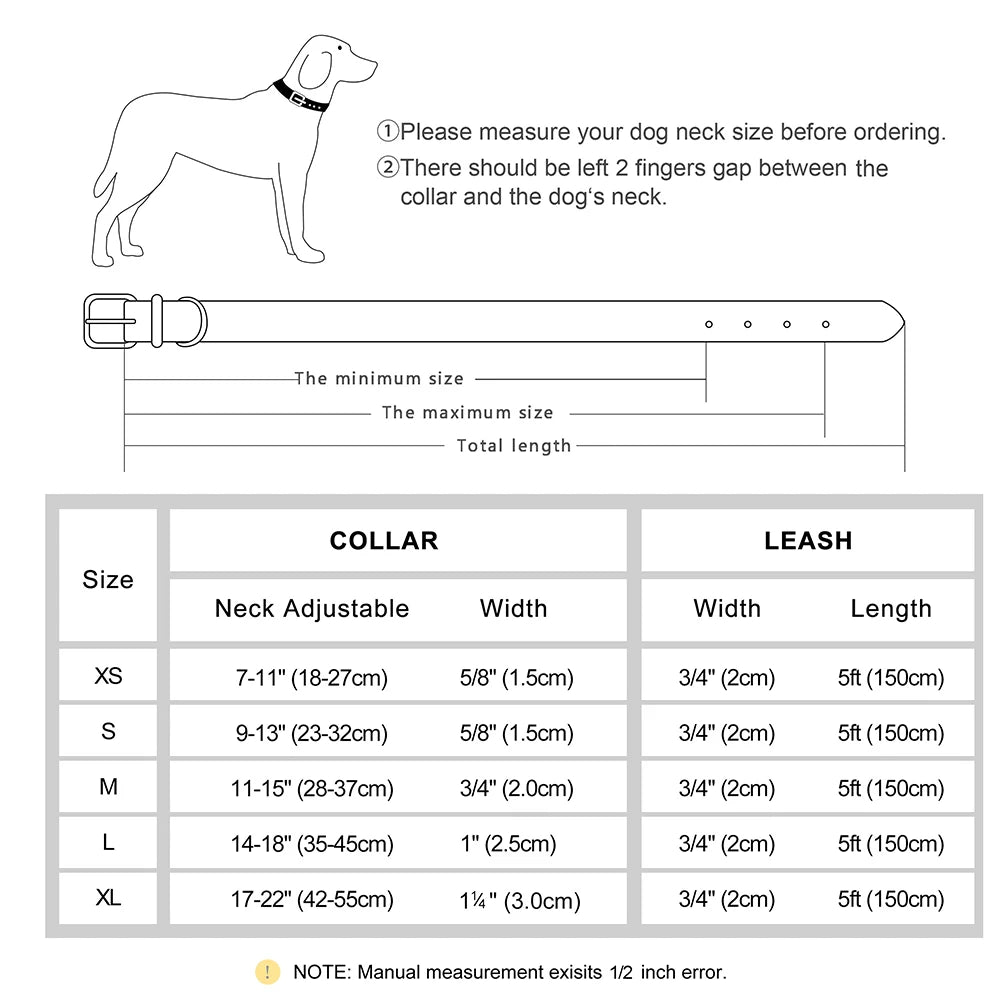 Engraved Leather Dog Collar and Leash Set