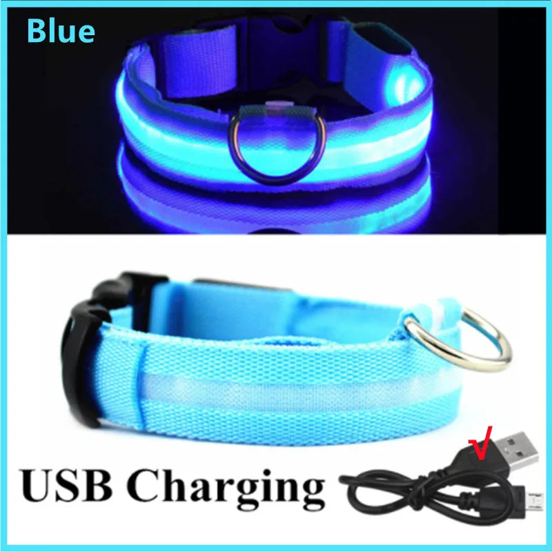LED Light-Up Dog Collar