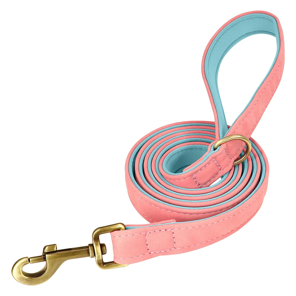 Engraved Leather Dog Collar and Leash Set