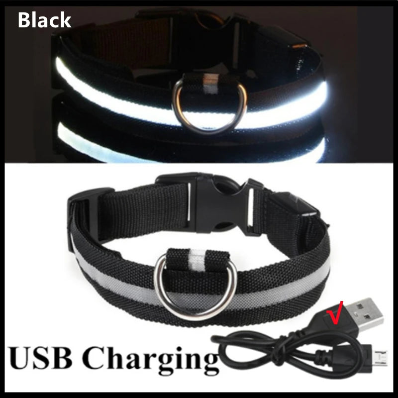 LED Light-Up Dog Collar