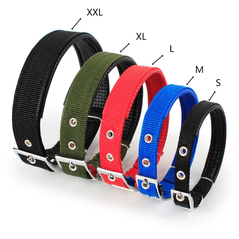 Classic Nylon Dog Collar