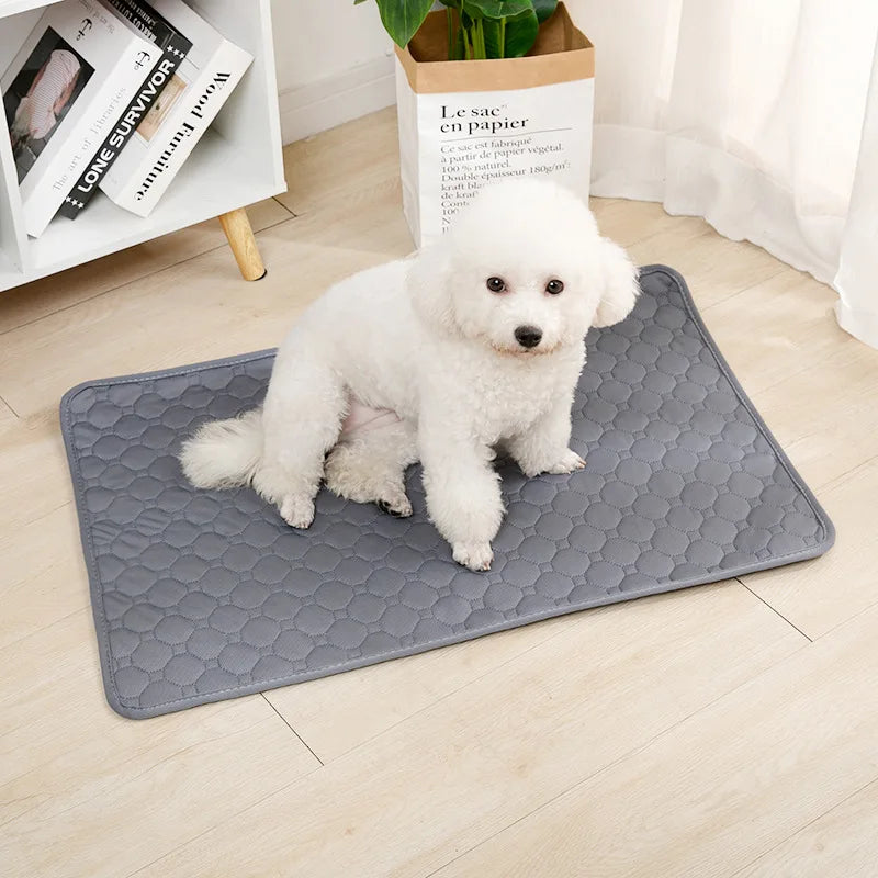 Reusable Waterproof Dog Pad