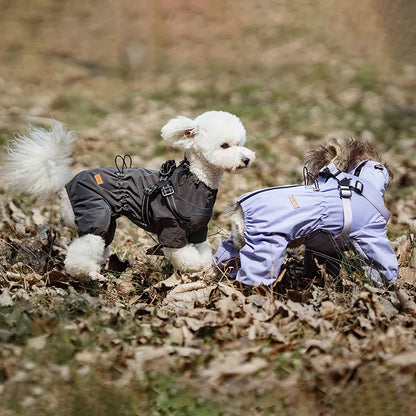 Full Body Dog Waterproof Raincoat
