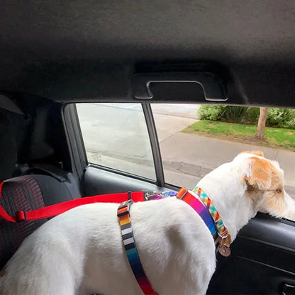 2-in-1 Dog Car Safety Belt and Leash