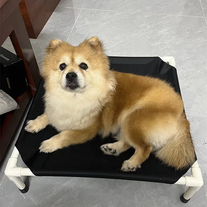 Elevated Folding Pet Camping Bed