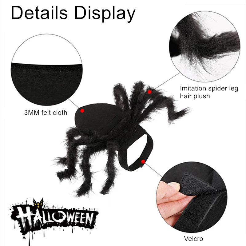 Halloween Spider Pet Costume