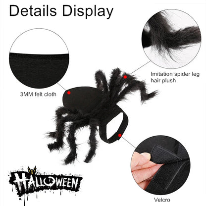 Halloween Spider Pet Costume