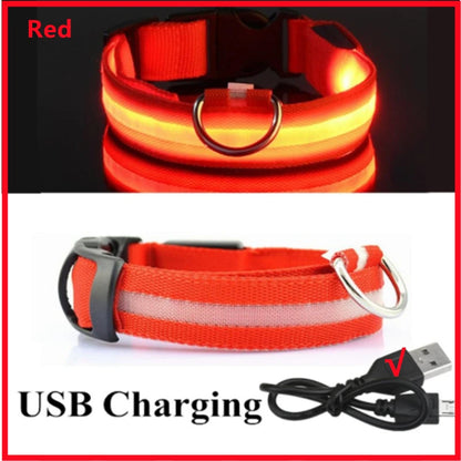 LED Light-Up Dog Collar