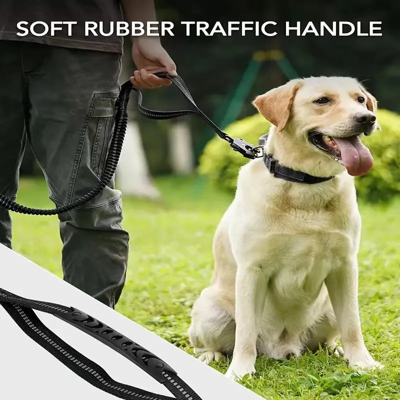 Heavy-Duty Dog Leash with Traffic Handle
