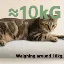 Wall-Mounted Cat Scratching Board